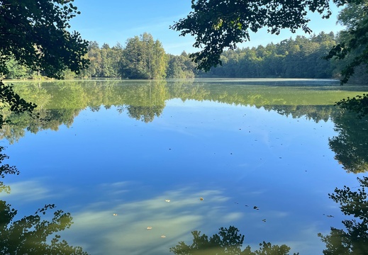 23-09-09 10-23-39 6490